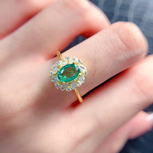 Charger l'image dans la galerie, LMM - 0607 - 172422 - 7 - 1 - 貴婦人の宝箱