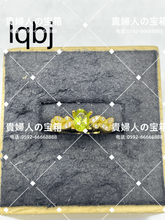 Charger l'image dans la galerie, lqbj - 貴婦人の宝箱