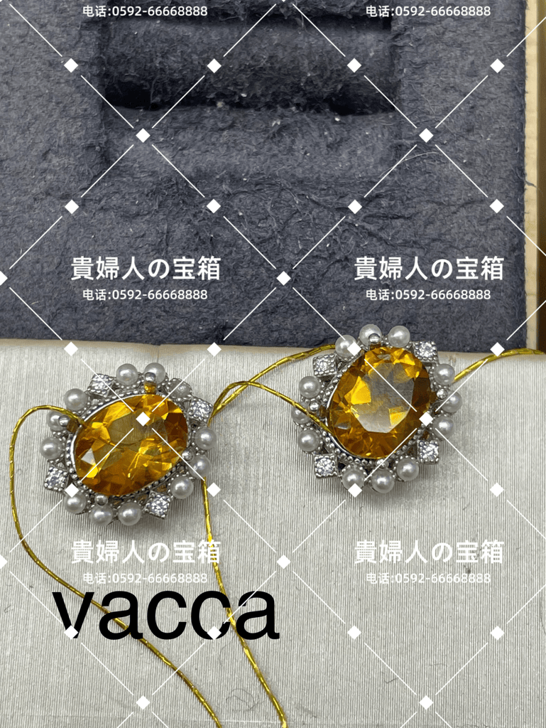 vacca（复制）（复制） - 貴婦人の宝箱