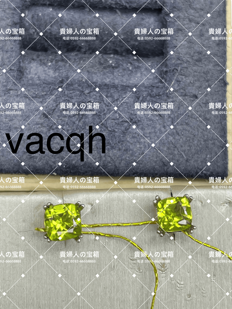 vacqh - 貴婦人の宝箱