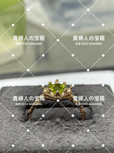 Charger l'image dans la galerie, vqaqg - 貴婦人の宝箱