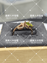Charger l'image dans la galerie, vqaqk - 貴婦人の宝箱