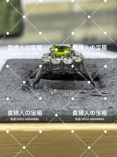 Charger l'image dans la galerie, vqfbf - 貴婦人の宝箱