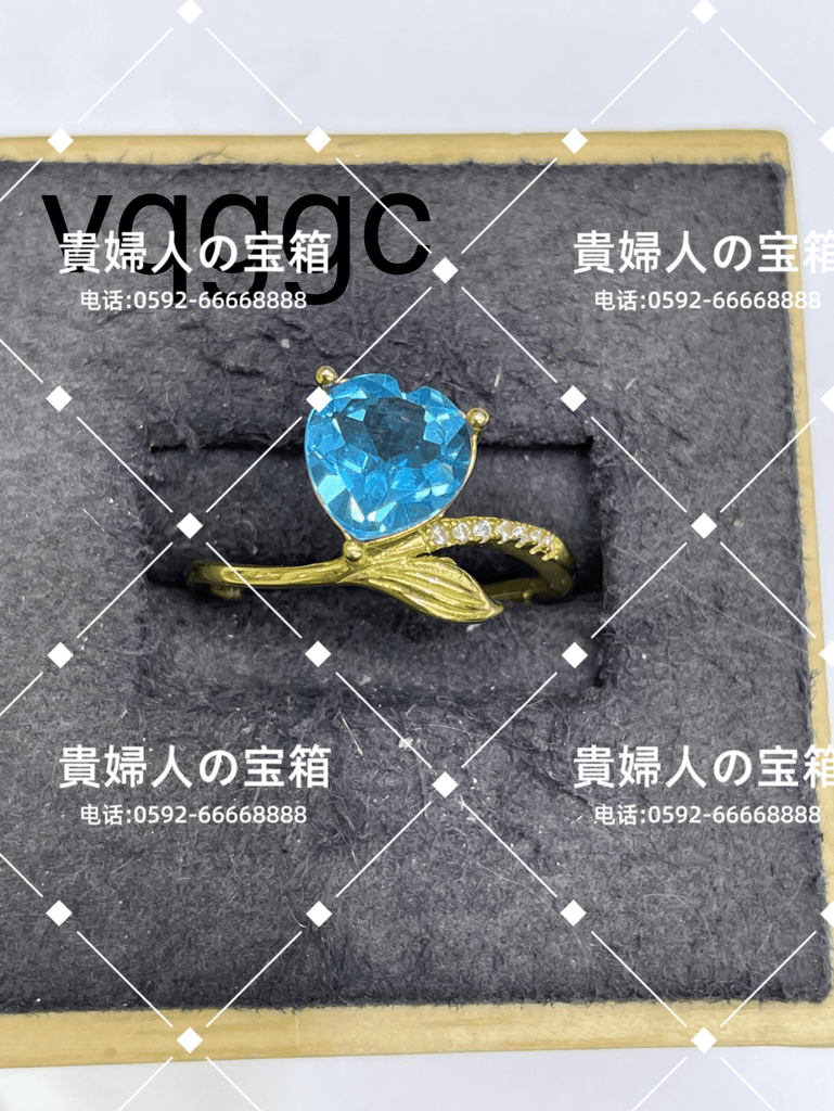 vqggc - 貴婦人の宝箱