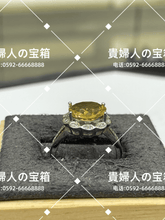 Charger l'image dans la galerie, vqqfh - 貴婦人の宝箱