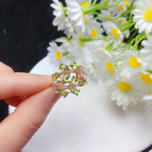 Charger l'image dans la galerie, YBJ - 0613 - 142705 - 1 - 貴婦人の宝箱