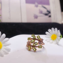 Charger l'image dans la galerie, YBJ - 0613 - 142705 - 1 - 貴婦人の宝箱