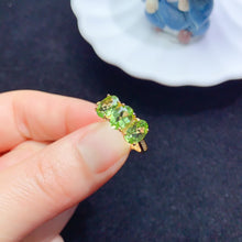 Charger l'image dans la galerie, YBJ - 0613 - 142711 - 1 - 貴婦人の宝箱