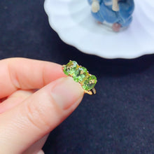 Charger l'image dans la galerie, YBJ - 0613 - 142711 - 1 - 貴婦人の宝箱