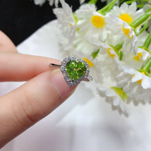 Charger l'image dans la galerie, YBJ - 0613 - 142716 - 1 - 貴婦人の宝箱