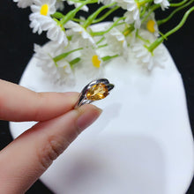 Charger l'image dans la galerie, YBJ - 0613 - 142929 - 1 - 貴婦人の宝箱