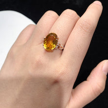 Charger l'image dans la galerie, YBJ - 0613 - 142958 - 1 - 貴婦人の宝箱