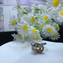 Charger l'image dans la galerie, YBJ - 0613 - 143022 - 1 - 貴婦人の宝箱