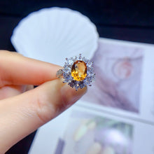 Charger l'image dans la galerie, YBJ - 0615 - 105701 - 1 - 貴婦人の宝箱